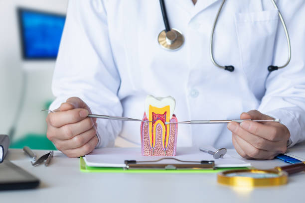Best Emergency Treatment for Toothache in Guilford Center, CT